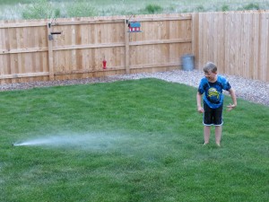 Augie with sprinkler