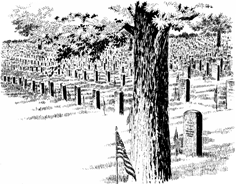 Many graves with an American flag in front of a tree
