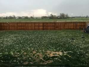 Backyard hail